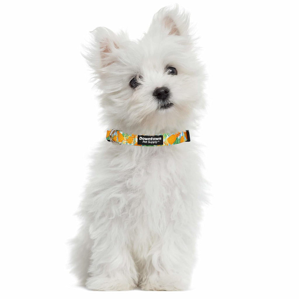 Downtown Pet Supply - Best & Fancy Dog Collar - Lightweight Adjustable with Quick Buckle & D-Ring - Hand Wash Safe - Pineapple - Large