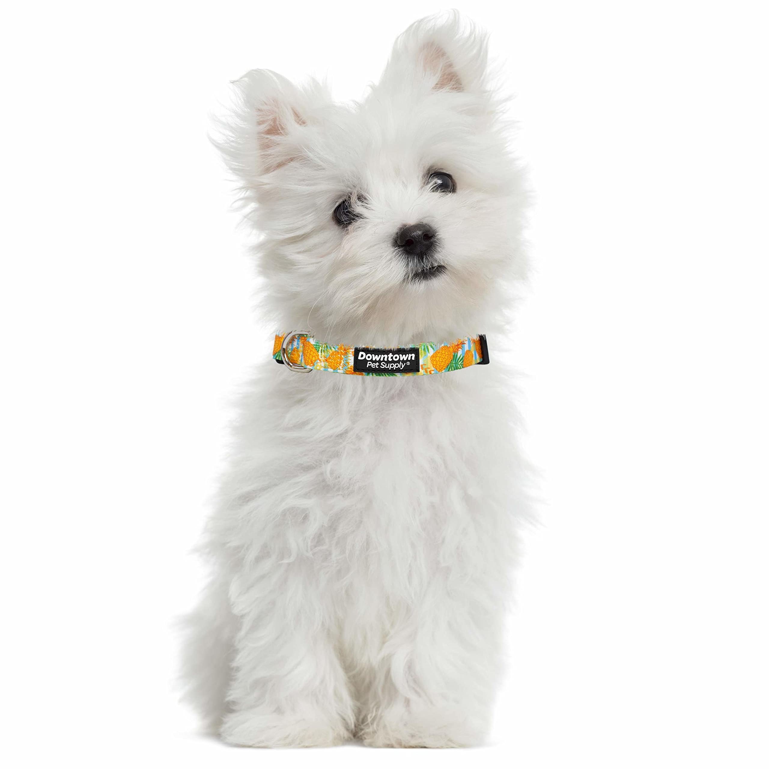 Downtown Pet Supply - Best & Fancy Dog Collar - Lightweight Adjustable with Quick Buckle & D-Ring - Hand Wash Safe - Pineapple - Large