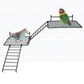 BNOSDM 4 PCS Bird Perches Platform, Stainless Steel Grid Platform for Parakeet Parrot Stand with Climbing Ladder Bird Cage Accessories for Small to Large Birds (Black)