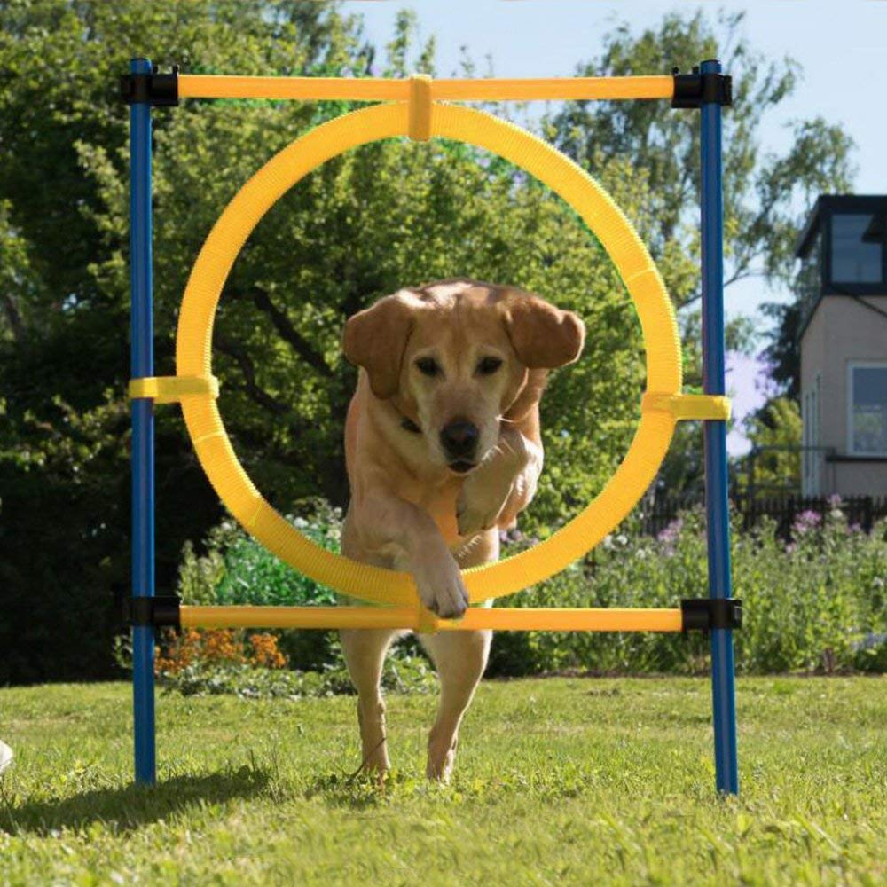 PAWISE Dog Agility Training Equipment,Puppy Agility Kit with Jump Ring, Adjustable Hurdles & Weave Poles,Outdoor Dog Obstacle Course for Backyard,Park Training, Portable Dogg Exercise Set