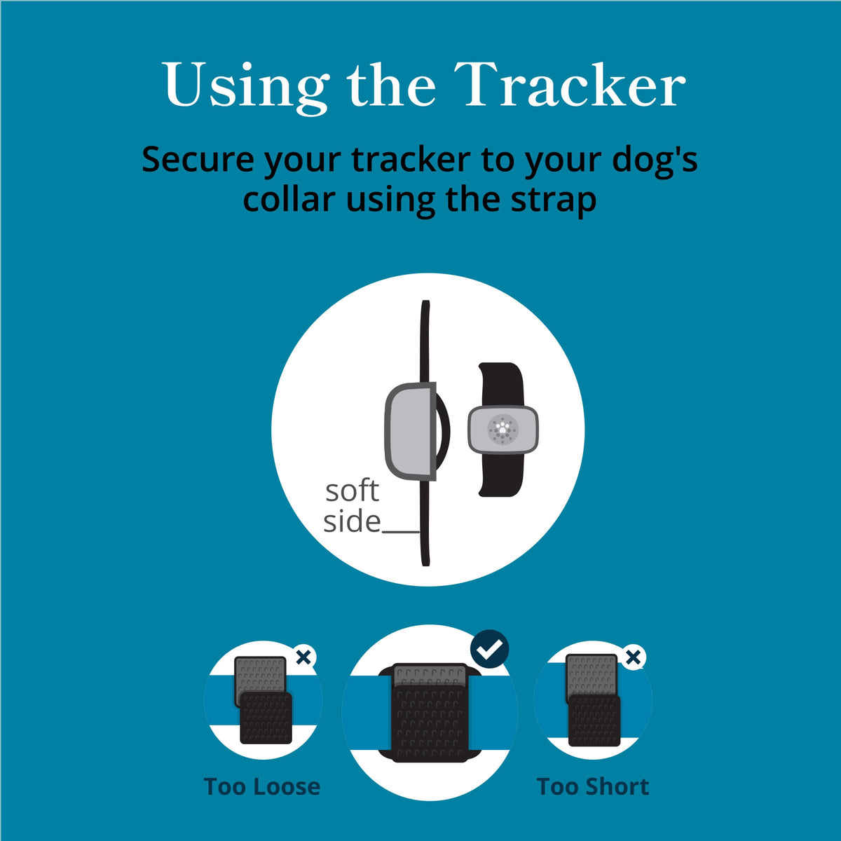 Purina Petivity Dog GPS Tracker Collar, Activity and Real Time Tracking