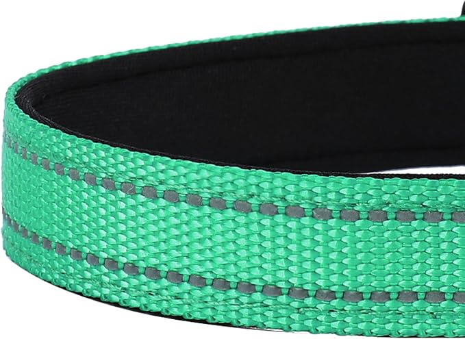 PWOD Reflective Dog Collar, Adjustable Soft Neoprene Padded Nylon Pet Collars with Buckle for Small Dogs, Grass Green,S