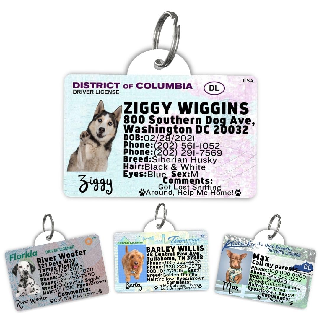 Dog Tags Personalized, Dog ID License Tag for Pets (Washington, Tag)