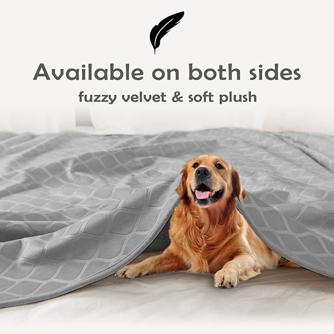 fuguitex Waterproof Dog Blanket Bed Cover Dog Crystal Velvet Moroccan Fuzzy Cozy Plush Pet Blanket Throw Blanket for Couch Sofa(68 * 82 inch, Light Grey+Grey)