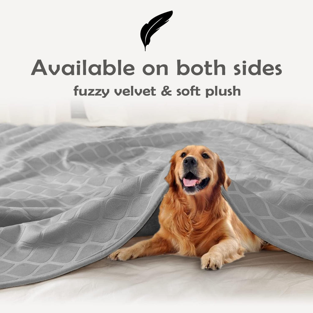fuguitex Waterproof Dog Blanket Bed Cover Dog Crystal Velvet Moroccan Fuzzy Cozy Plush Pet Blanket Throw Blanket for Couch Sofa(40 * 60 inch, Light Grey+Grey)