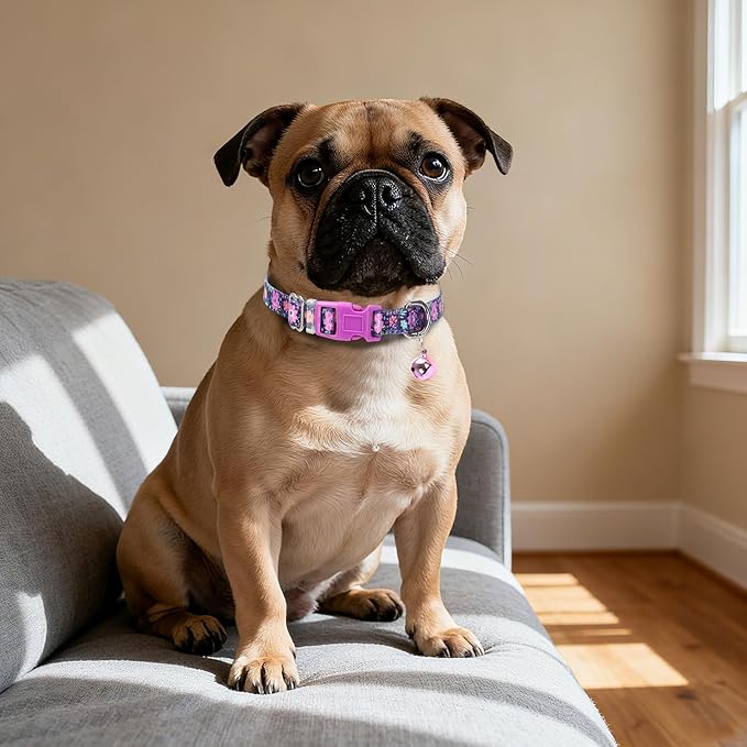 Floral Small Dog Collar with Bell XXS XS Cat Collars for Tiny Dogs
