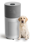 CleanForce Air Purifier for Large Room up to 2,250 ft², H13-Grade HEPA Filtration & Activated Carbon Layer, Captures Dust, Pollen, Smoke & Pet Dander | Smart App & Alexa | Gray, Rainbow Series