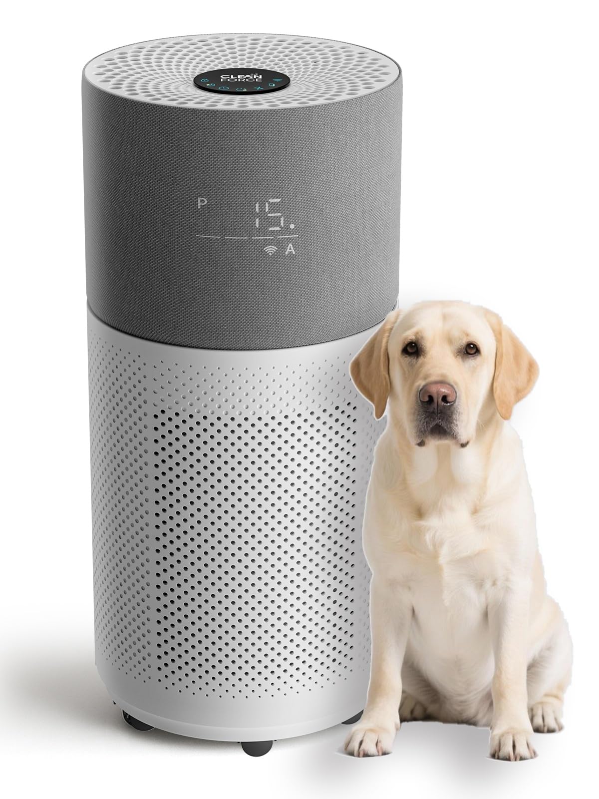 CleanForce Air Purifier for Large Room up to 2,250 ft², H13-Grade HEPA Filtration & Activated Carbon Layer, Captures Dust, Pollen, Smoke & Pet Dander | Smart App & Alexa | Gray, Rainbow Series