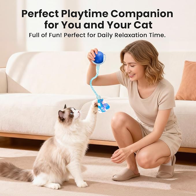 Rocfish Durable Interactive Cat Toys for Indoor Cats (Blue, 03)