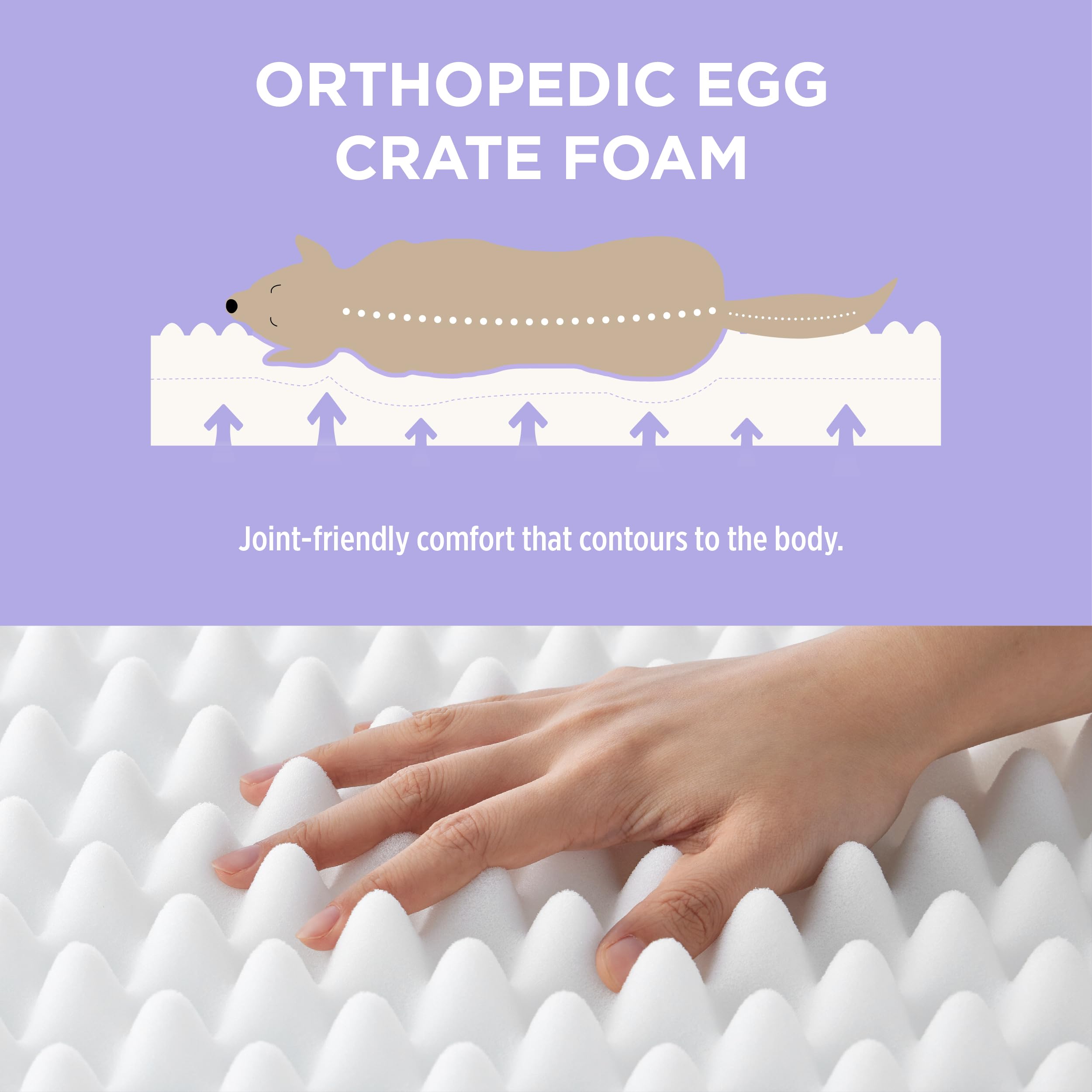 LE SURE Cute Orthopedic Dog Bed Medium Size Dog, Waterproof Chic Flat Pet Beds with Removable Washable Cover, Fuzzy Thick Egg Crate Foam Pet Mat for Indoor Use (30" x 20", Brown)