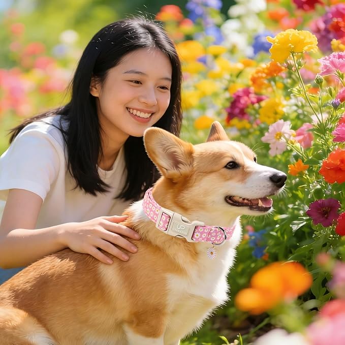 UP URARA PUP Daisy Dog Collar, Summer Cotton Dog Collar with Quick Release, Gift Pink Collars for Small Medium Large Girls or Boys Dogs Cute Durable Comfortable Pet Collars