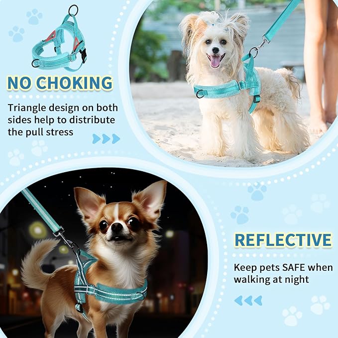 SlowTon No Pull Small Dog Harness and Leash Set, Puppy Soft Vest Harness Neck & Chest Adjustable, Reflective Lightweight Harness & Anti-Twist Pet Lead Combo for Small Medium Dogs(BL-Front Clip,S)