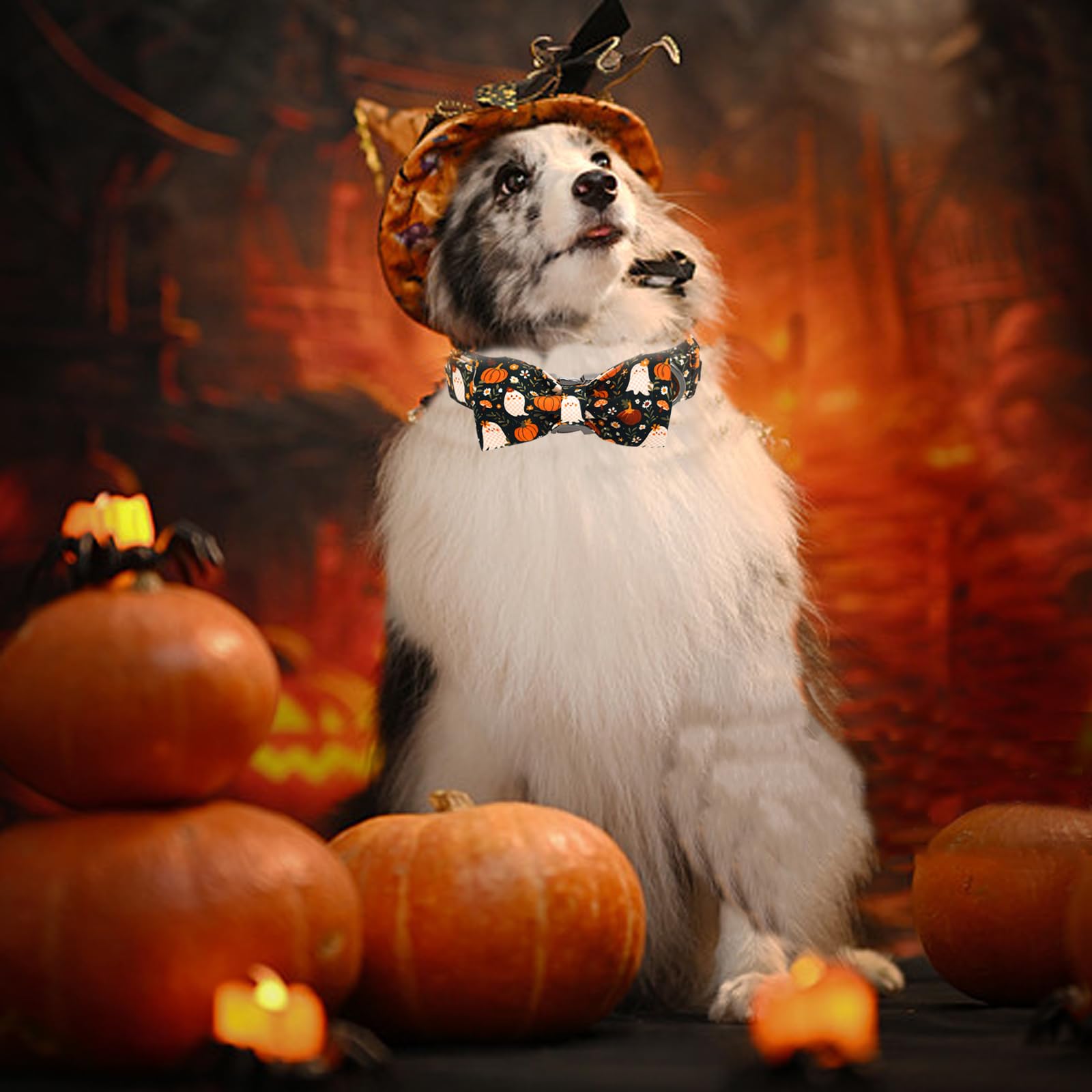 Bobo Rainbow Halloween Dog Collar, Ghost Print Adjustable Pet Collar Fall Pumpkin Cute Cotton Soft Collars with Bow Tie Fall Metal Buckle Holiday Puppy Collars Boy&Girl Gift for Medium Dogs