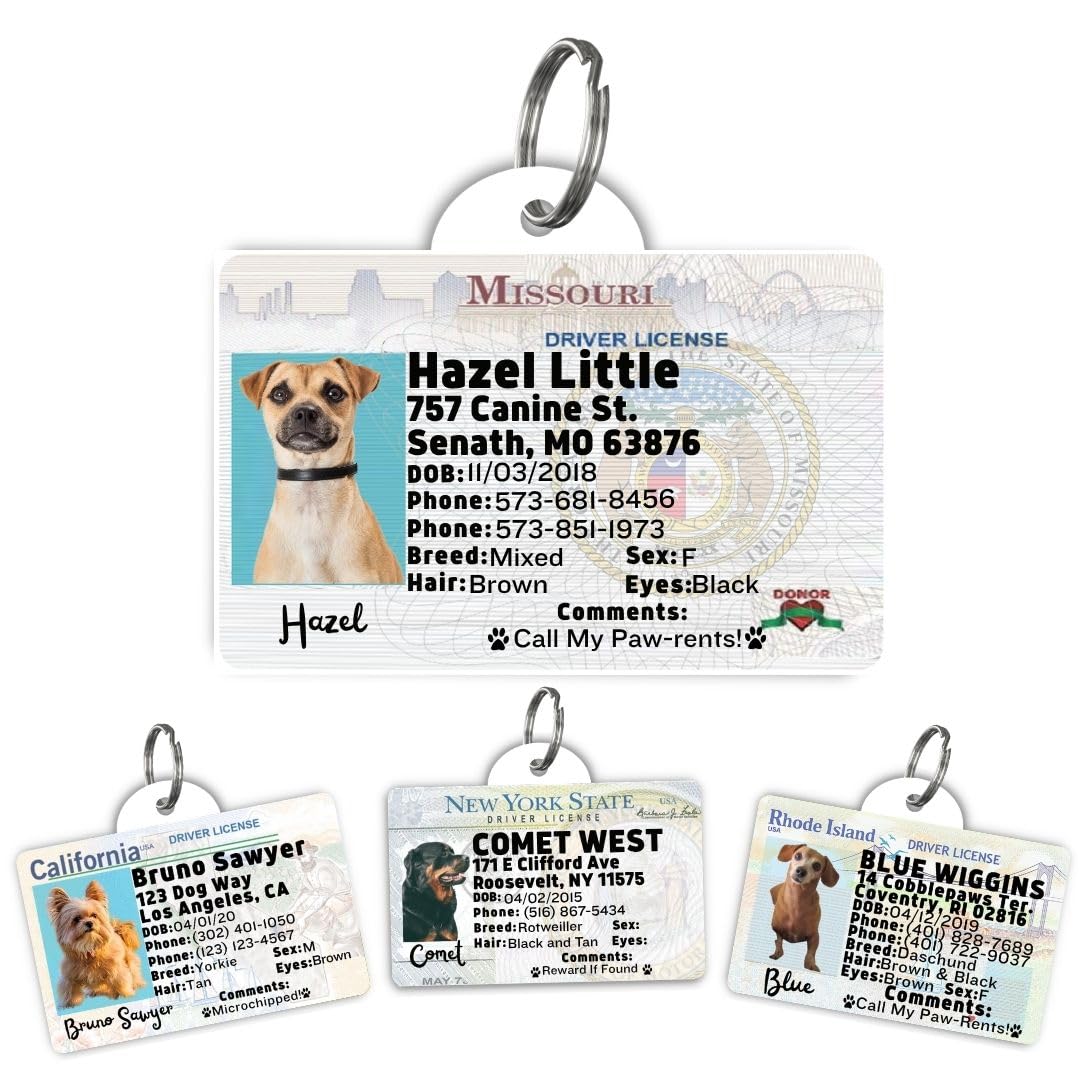 Dog Tags Personalized, Dog ID License Tag for Pets (Washington, Tag)