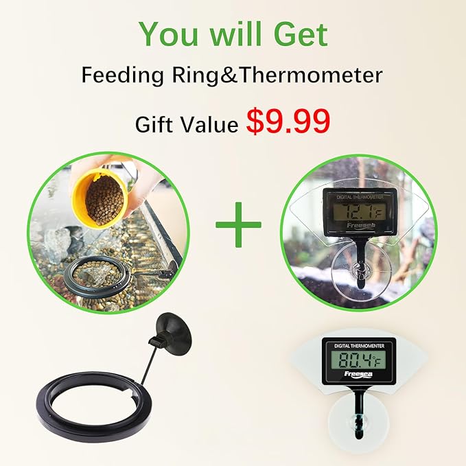FREESEA Automatic Fish Feeder for Aquarium: 200ml Vacation Dispenser