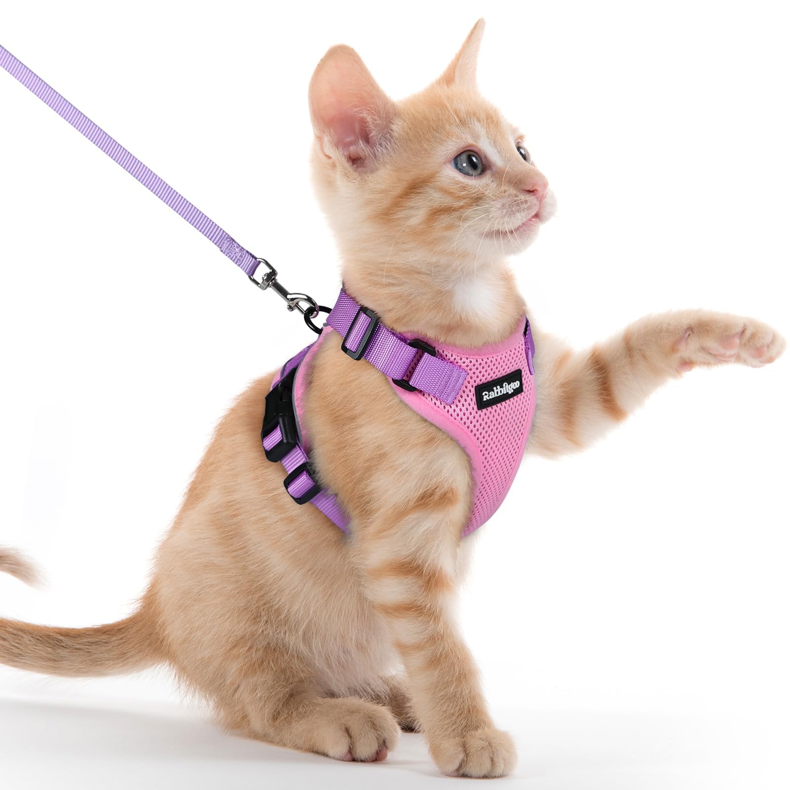 rabbitgoo Cat Harness and Leash Set, Escape Proof Vest, Emerald