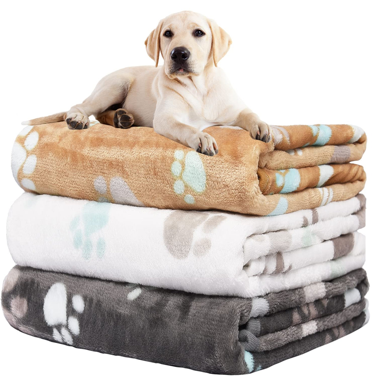 Rezutan 3 Pack Premium Soft Dog Blanket for Medium Dogs Puppy & Cat