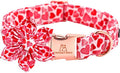 Lionheart glory Valentine's Day Dog Collar with Flower Dog Collars Red Hearts Dogs Collar with Bowtie for X-Small Dogs Puppy Spring Puppy Pet Collars Bows