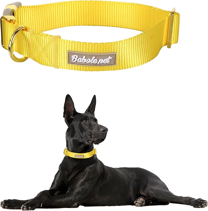 Babole Pet Nylon Dog Collar - Adjustable Yellow Soft Webbing Dog Collars for Small Medium Large Dogs Boy Girl Puppy Collar with Safety Metal Buckle S