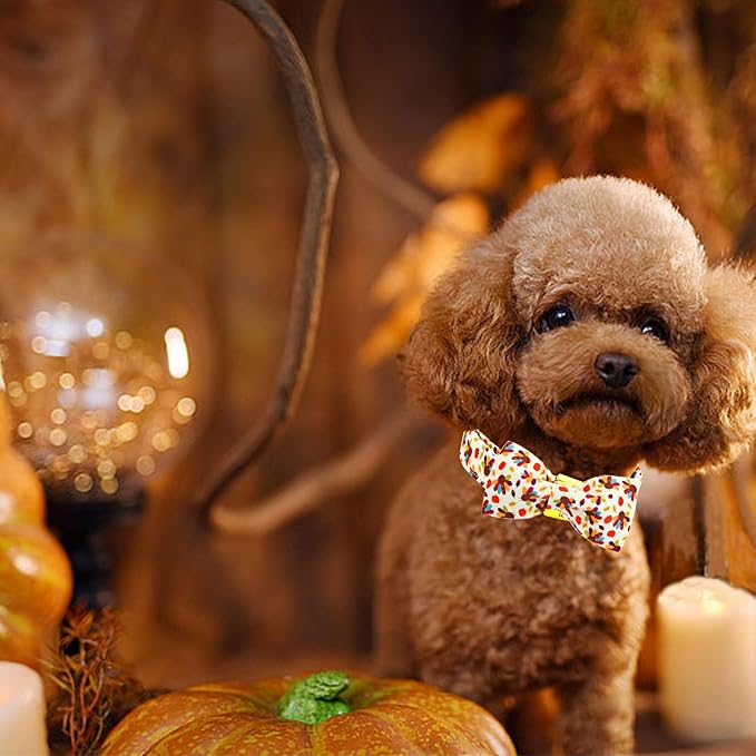 Bobo Rainbow Thanksgiving Dog Collar, Turkey Dogs Collars Bow Tie Pet Collar Adjustable Pet Collars Premium Metal Buckle Autumn Leaf Necklace for Large Dogs