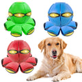 BADWALT 3PCS Dog Flying Disc Toy - Light Up Saucer Ball for Dogs - Outdoor Games (Red+Blue+Pink)