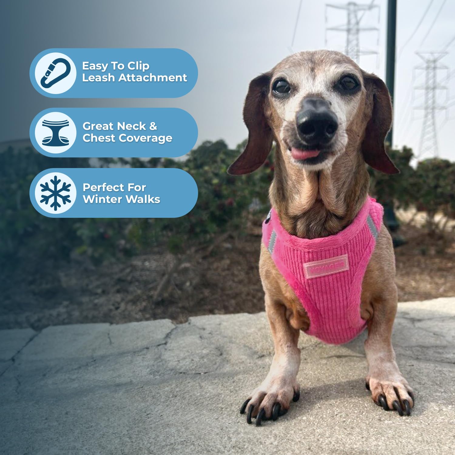 Voyager Step-in Plush Dog Vest Harness -Fuchsia Corduroy, X-Large