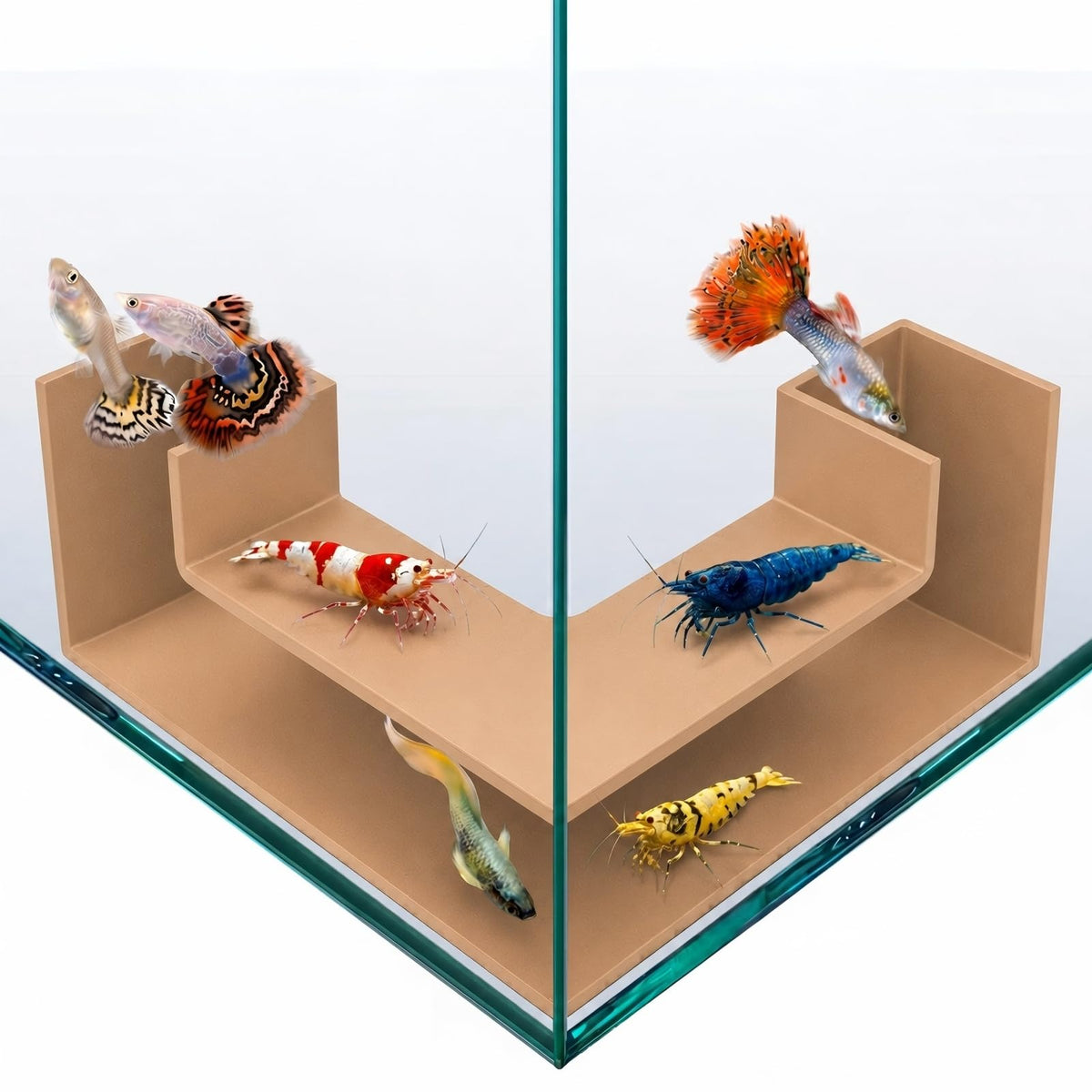Shrimp Cave for Aquarium Tanks – Durable Fish Tank Decor, Natural Hideout for Ghost Shrimp, Fry, and Nano Fish (Easy to Clean)