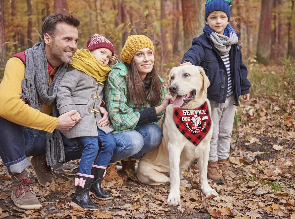 Dog Bandana, Therapy Dog Please Pet Me with, Dogs Scarf Classical Printing, Dogs Scarf Accessories, Doggy Kerchief Pet Kerchief, Christmas Birthday Thanksgiving Doggy Gift A09