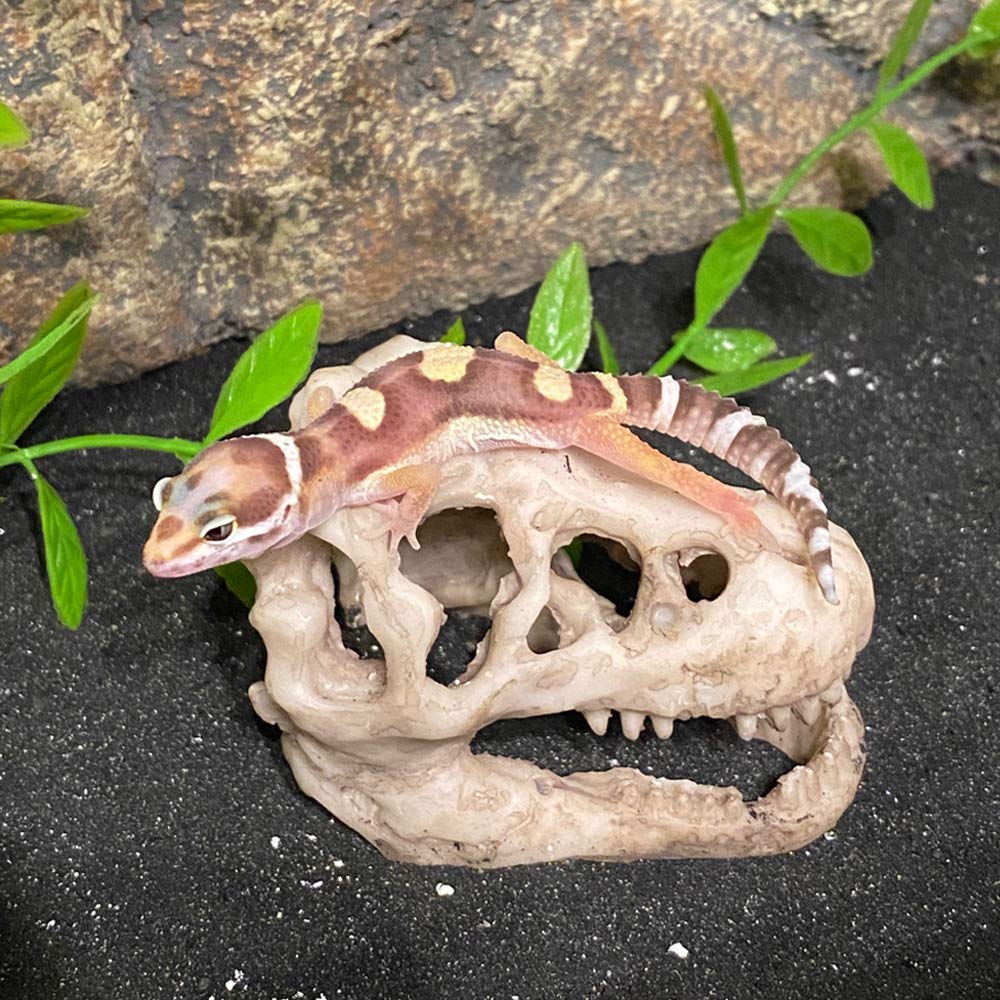 MTGHYARE 2 Pack Dinosaur Aquarium Decorations Skull Aquarium Ornament Mini Dinosaur Mold Decoration Tank Reptile Hide Decor with Holes Fish Tank Landscape Reptile Betta Fish Hideout Caves