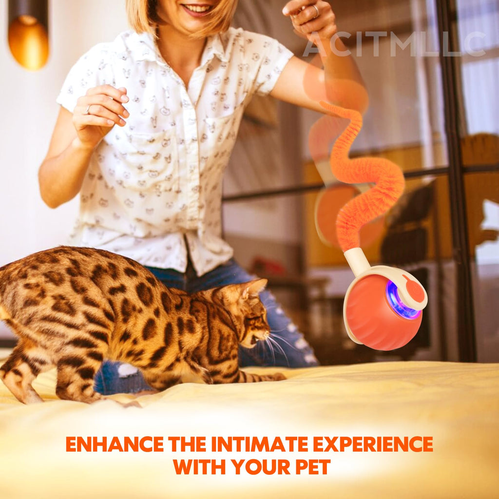 ACITMLLC Interactive Cat & Dog Toy Ball, Automatic Moving/Jumping/Bouncing, Smart Pet Chase Ball with Feather Tail, Electric Rechargeable Enrichment Toys for Indoor Bored Cats & Small Dogs (Orange)