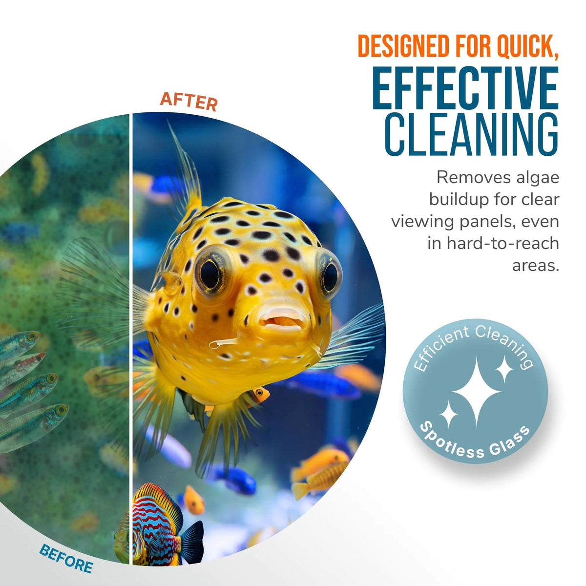 FL!PPER Pico Aquarium Glass Cleaner - Magnetic Fish Tank Cleaner, Scrubber & Scraper, Algae Remover, Aquarium Cleaning Tools