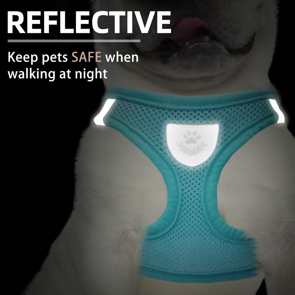 PUPTECK Dog Harness, Collar and Leash Set No Pull for Small Medium Sized