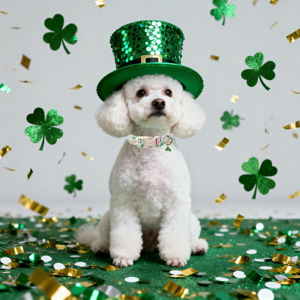 Babole Pet St Patricks Day Dog Collar for Giant Large Dogs - Cute Pastel Lucky Clover Dog Collars, Lightweight Adjustable Irish Green Festival Dogs Collars with Quick Release Buckle XL