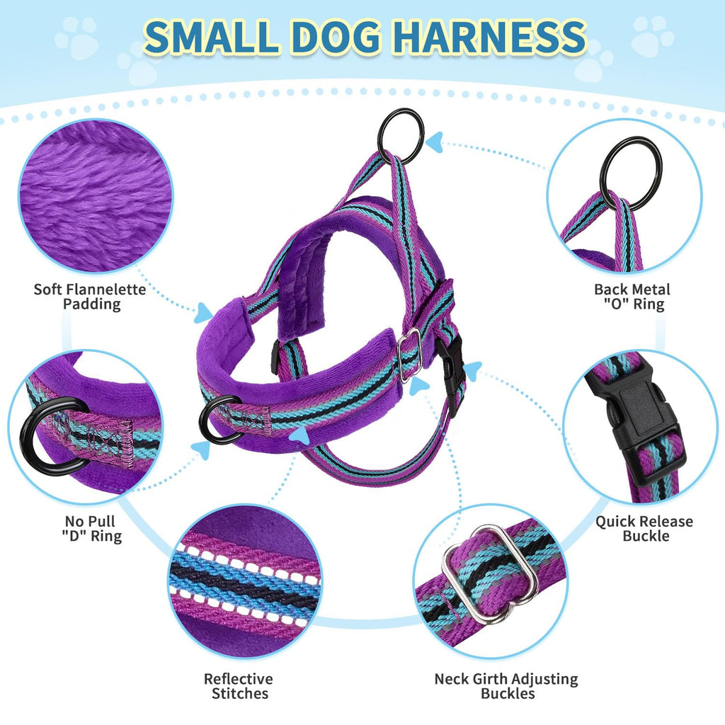 SlowTon No Pull Small Dog Harness and Leash Set with Front Clip