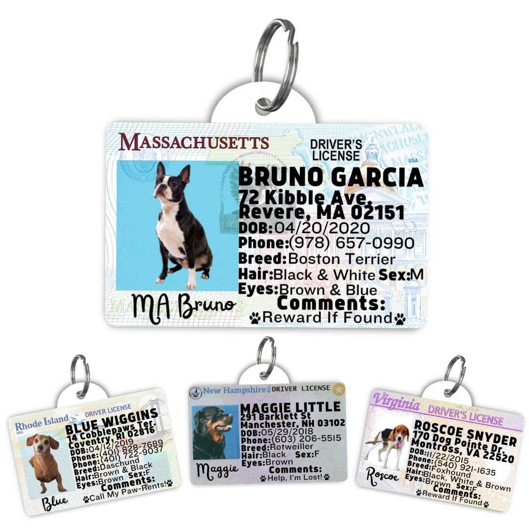 Dog Tags Personalized, Dog ID License Tag for Pets (Washington, Tag)