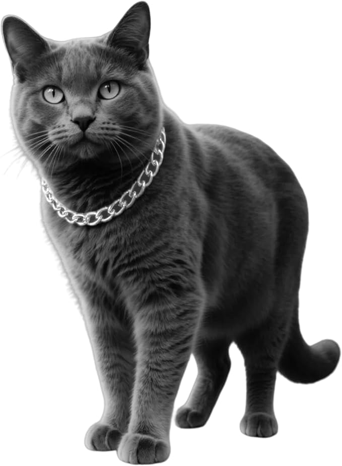 Cwyza Gold Cat Chain Collar,Adjustable Cuban Link Necklace(Gold, S)