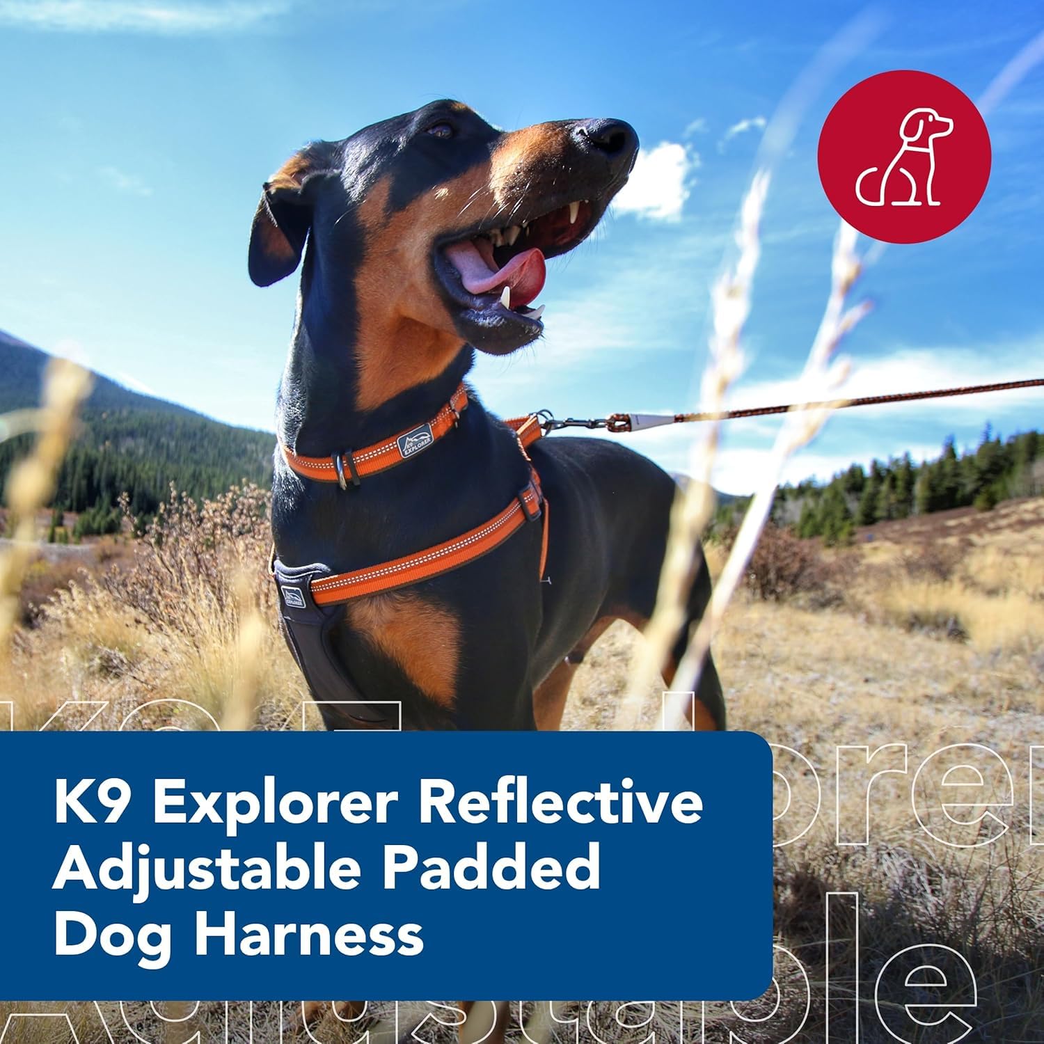 Coastal Pet K9 Explorer Reflective Adjustable Padded Dog Harness - Plush Chest Pad for Comfort - No-Pull Dog Harness for Small and Large Dogs - Berry - 5/8" x 12"-18", X-Small