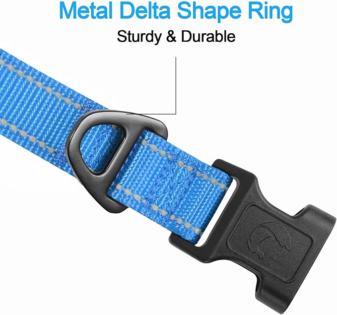 Joytale Reflective Dog Collar, Adjustable Neoprene Padded, Sky Blue XL