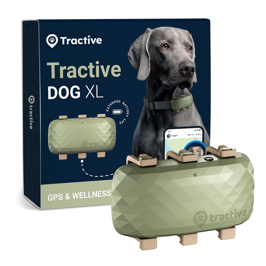 Tractive XL Smart Dog GPS Tracker | Live Pet Tracker with Virtual Fence | Vital Signs Monitoring of Heart & Respiratory Rate | Up to 1-Month Battery Life | Dog Collar Attachment (Green)