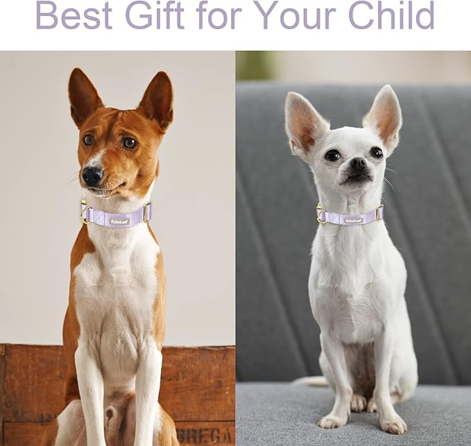 Nylon Dog Collar - Adjustable Lavender Soft Webbing Dog Collars for Small Medium Large Dogs Boy Girl Puppy Collar with Safety Metal Buckle L