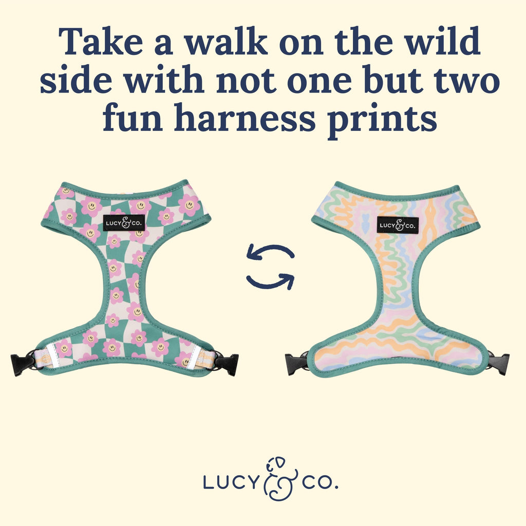 Lucy & Co. Reversible Dog Harness - Water-Repellent Neoprene, Dual-Print Design, Easy Swap Style, Adjustable Comfort Fit - Just Chill Reversible Harness - Medium