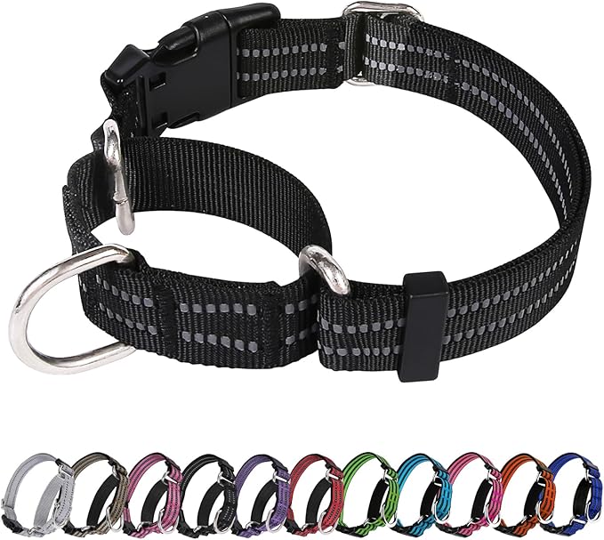 JOYEEIIOO Martingale Dog Collar, Adjustable Nylon Reflective Collar with Quick Release Buckle, No Pull Dog Training Collars for Small Medium Large Dogs (Black, Extra Large)