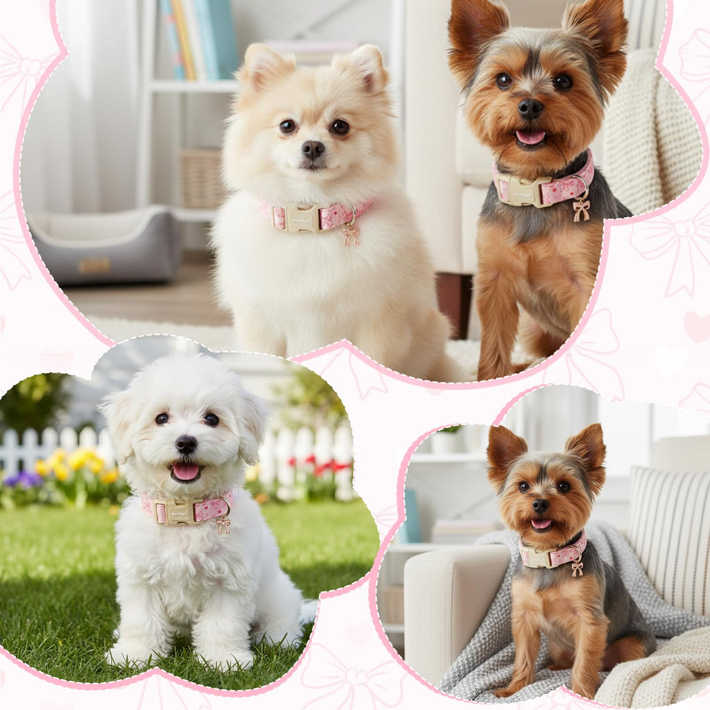 Astdogio Pink Bow Dog Collar, Adjustable Cotton Dog Collar for Small Medium Large Dogs, Cute Puppy Collars for Girl Female Dogs, Ideal for Gifts,Pet Accessory,M