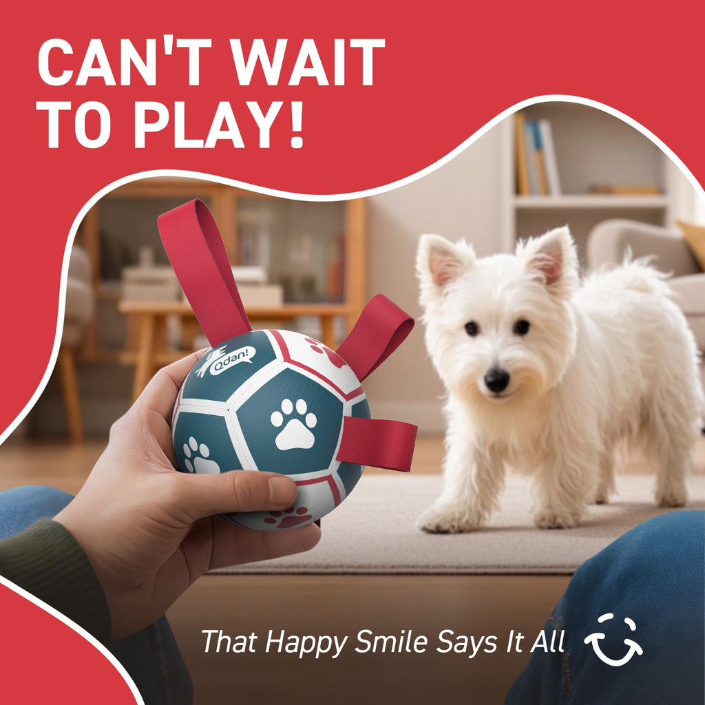 QDAN Small Dog Toys, Outdoor Indoor Toys to Keep Them Busy, Dog Soccer Ball