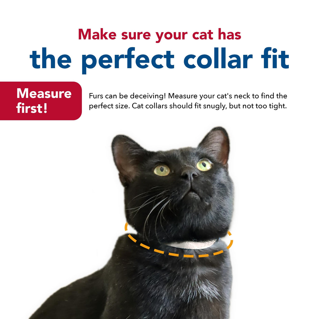 Coastal Pet New Earth Soy Adjustable Breakaway Cat Collar - Eco-Friendly, Odor-Resistant and Adjustable Cat Collar, Cranberry, 3/8" x 08"-12"