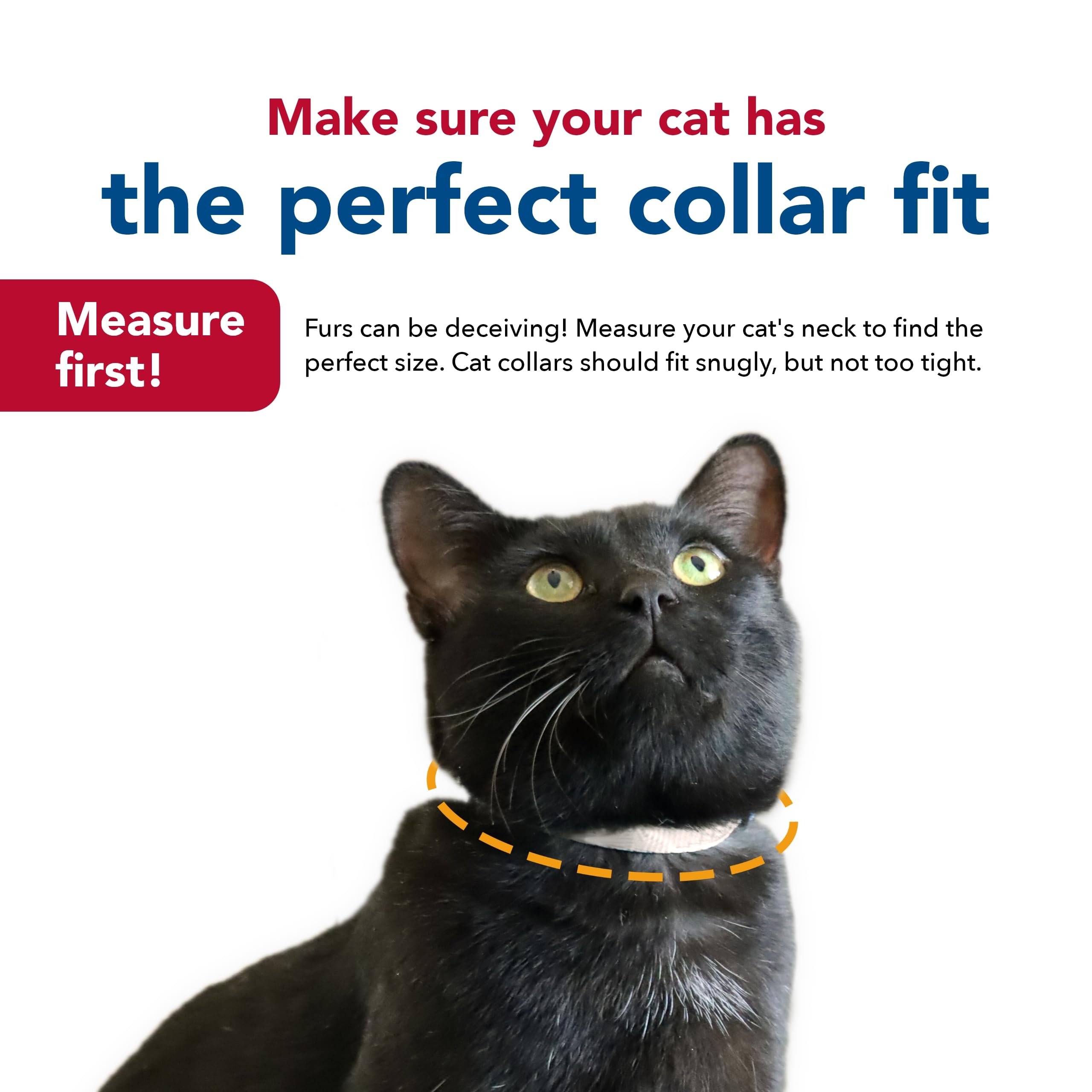 Coastal Pet New Earth Soy Adjustable Breakaway Cat Collar - Eco-Friendly, Odor-Resistant and Adjustable Cat Collar, Cranberry, 3/8" x 08"-12"