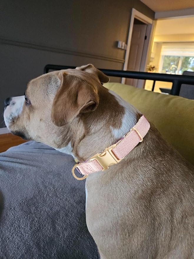 YUDOTE Soft Cotton Hemp Dog Collar with Metal Buckle Adjustable Twilled Dog Collars for Female Small Medium Large Dogs(Pink,Medium)