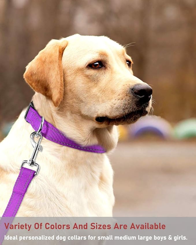 Reflective Dog Collar with Buckle Adjustable Safety Nylon Collars for Small Medium Large Dogs, Purple M
