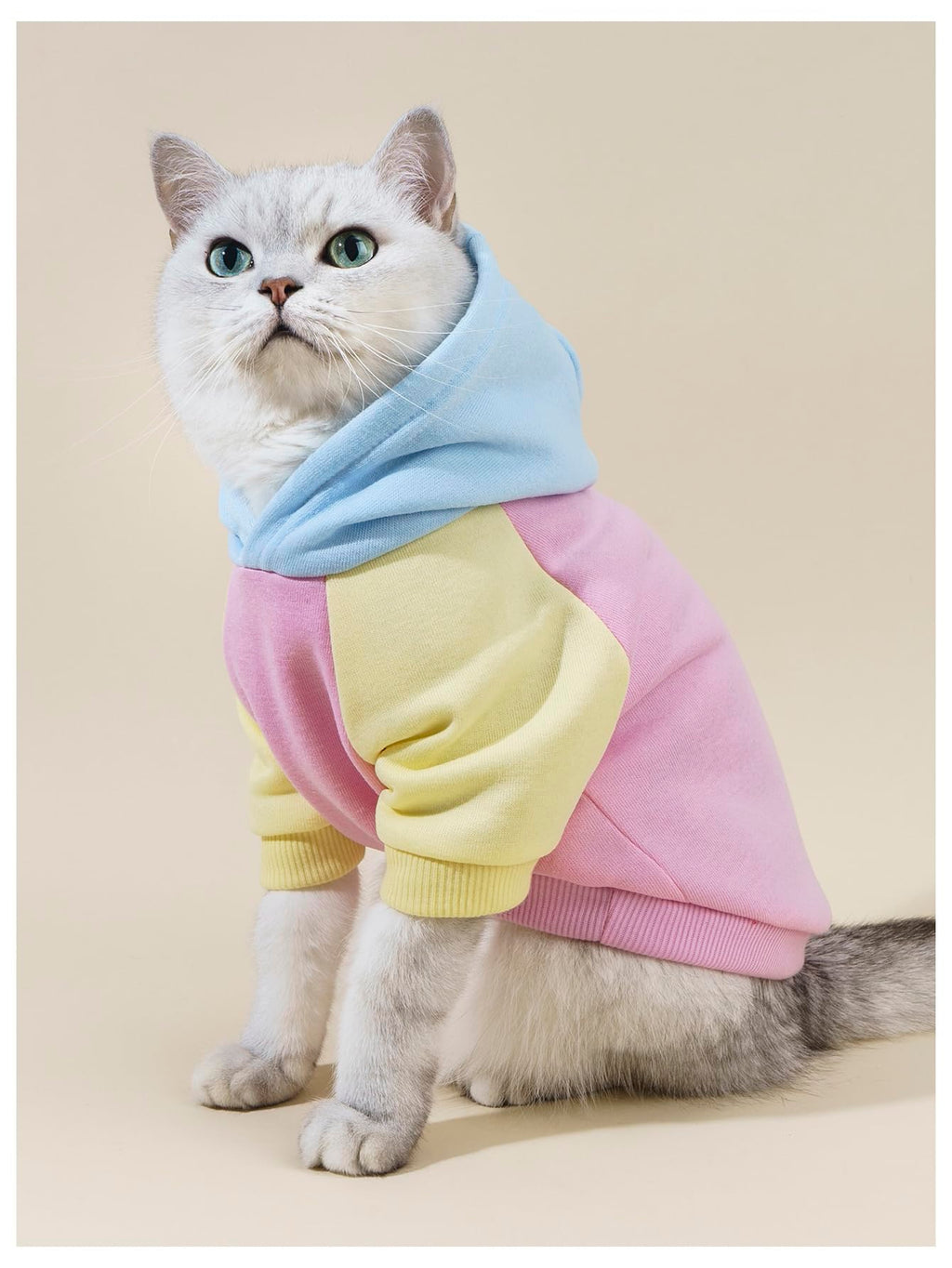 QWINEE Basic Dog Hoodie Sweatshirt Puppy Sweater Warm Cat Costumes Pet Clothes for Chihuahua Puppy Kitten Small Medium Dogs Pink Medium