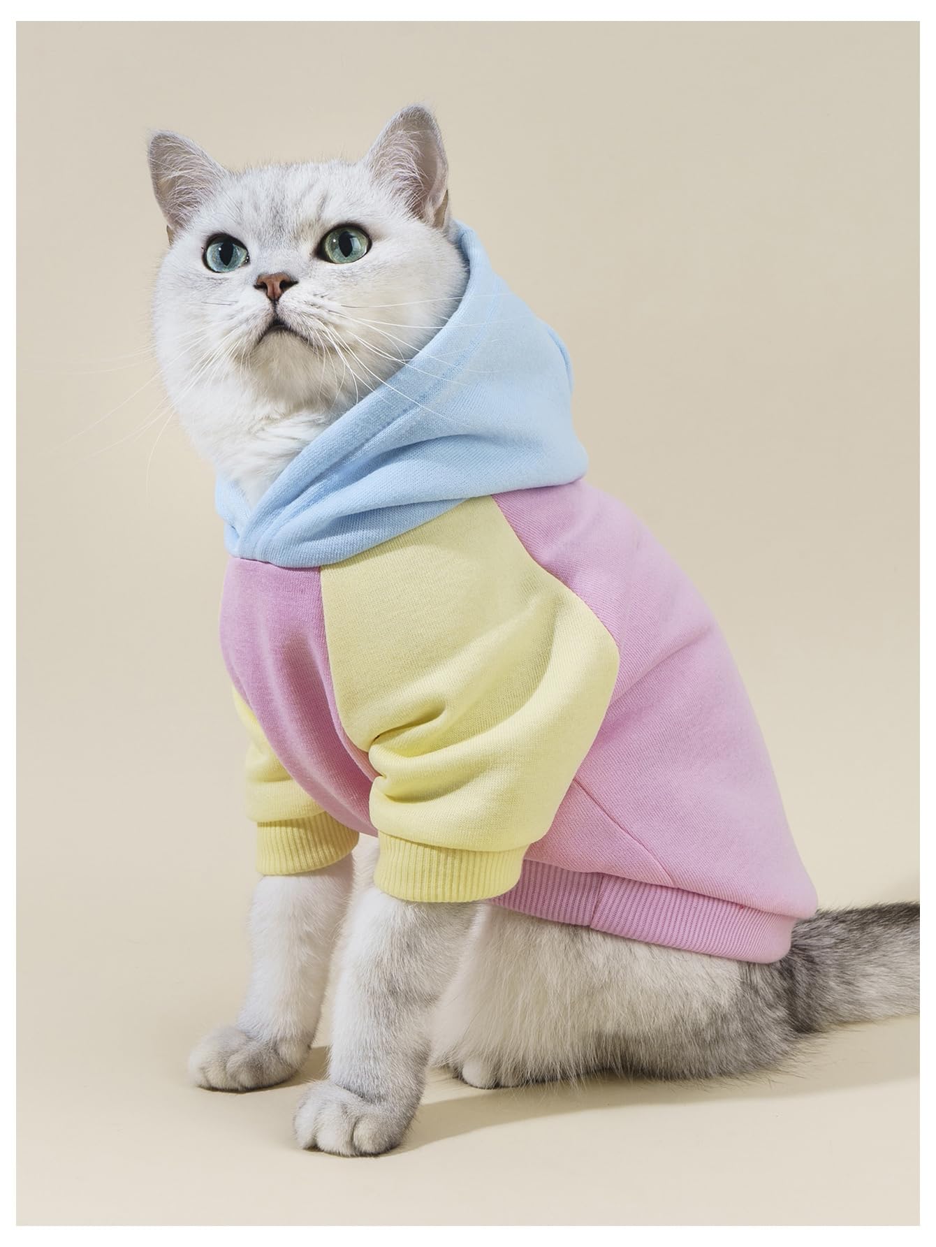 QWINEE Basic Dog Hoodie Sweatshirt Puppy Sweater Warm Cat Costumes Pet Clothes for Chihuahua Puppy Kitten Small Medium Dogs Pink Medium